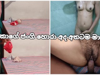 64b547a7624f7 Brother's Jangi Thief is currently Martu (Original Voice) Sri Lankan Thief Jangi was Caught by the Sister
