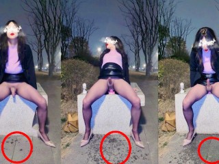 664381233482b How did the slutty Chinese ladyboy get the park sidewalk wet?
