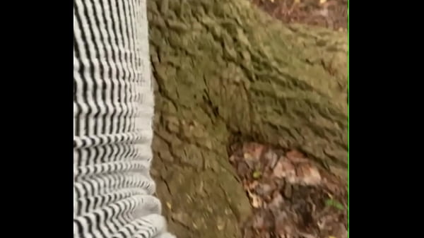 video.udhbcaha821 Full video hereWe got caught in the forest as she begged for n word dick